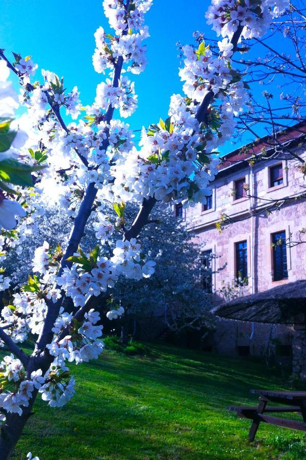 Arte Y Natura Valdivielso Quintana de Valdivielso 외부 사진